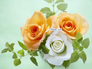 天然石ブレスレットの魅力と効果を徹底解説!【最新2022年版】