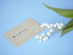 2025年版 高級紅茶を贈る喜びと選び方:プレゼントに最適な人気アイテム完全ガイド