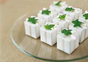 高品質なキャンプギアを選ぶならこれ!ブランド別のおすすめポイントと選び方ガイド